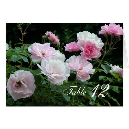 Rosa rosa Blume Abendessen Tischnummer Karte. (Vorderseite (Horizontal))