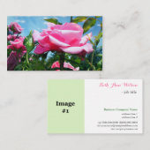 Rosa Rosa-Blume berufliches Foto Visitenkarte (Vorne/Hinten)