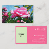 Rosa Rosa-Blume berufliches Foto Visitenkarte (Vorne/Hinten)