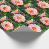 Rosa Rosa Blume im Garten Postkarte Geschenkpapier (Ecke)