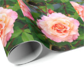 Rosa Rosa Blume im Garten Postkarte Geschenkpapier (Rolleneckpunkt)