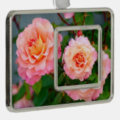 Rosa Rosa Blume in einem Gartenposter Rahmen-Ornament Silber (Rechts)