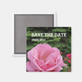 Rosa Rosa-Blume-Magnet Magnet (Vorderseite/Rückseite)