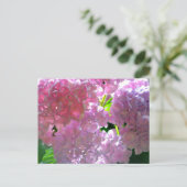 Rosa, rosa Blume, rosa, rosa, rosa Hydrangeas Postkarte (Stehend Vorderseite)