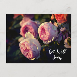 Rosa rosa Blumen aus dem Garten Gute Besserung Postkarte