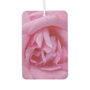 Rosa rosa Blüte Autolufterfrischer