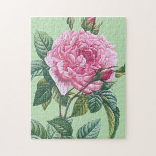 Rosa rosa Blüten mit grünen Blättern Puzzle