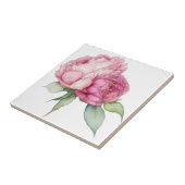 Rosa Rosa Blüten Rosa Rosen Fliese (Seite)