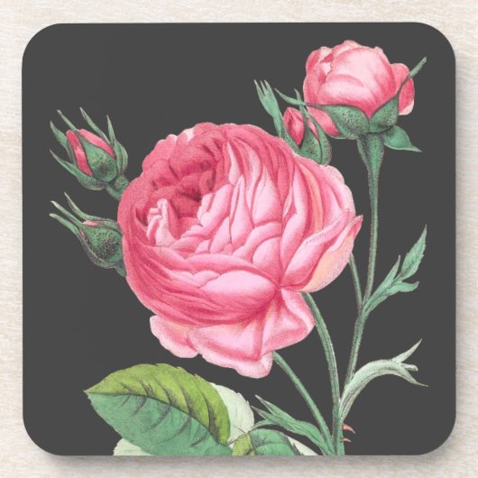 Rosa Rosa Blütenzeit Getränkeuntersetzer (Vorderseite)