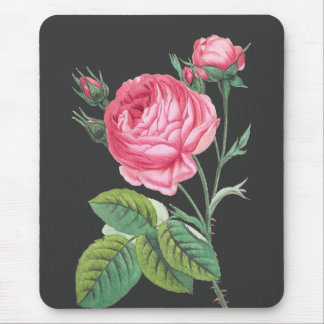 Rosa Rosa Blütenzeit Mousepad