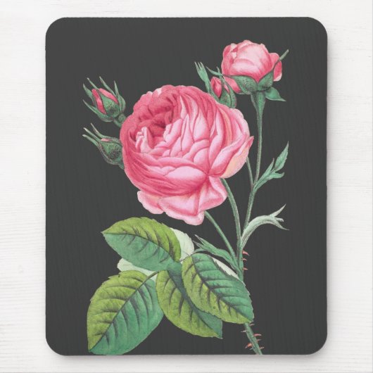 Rosa Rosa Blütenzeit Mousepad (Vorne)