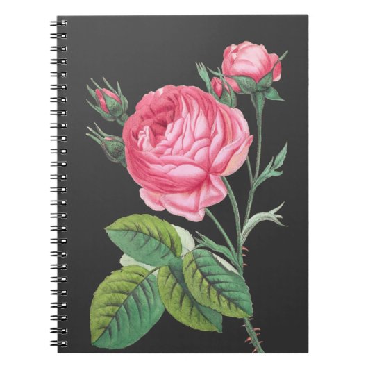 Rosa Rosa Blütenzeit Notizblock (Vorderseite)
