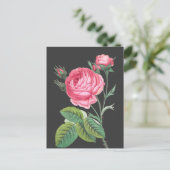 Rosa Rosa Blütenzeit Postkarte (Stehend Vorderseite)