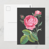 Rosa Rosa Blütenzeit Postkarte (Vorne/Hinten)