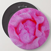 Rosa Rosa Button (Vorne & Hinten)