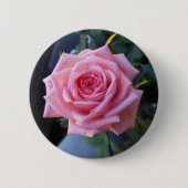 Rosa Rosa Button (Vorderseite)