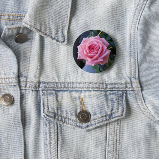 Rosa Rosa Button (Beispiel)