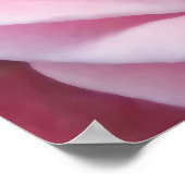 Rosa Rosa Detail, Naturgarten Blume Poster (Ecke)