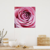 Rosa Rosa Detail, Naturgarten Blume Poster (Küche)