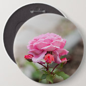 Rosa Rosa drei rote Knospen Button (Vorne & Hinten)