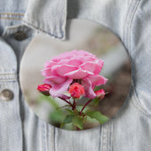 Rosa Rosa drei rote Knospen Button (Beispiel)