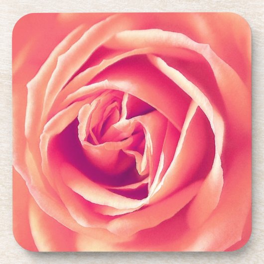 Rosa-Rosa-Druck Getränkeuntersetzer (Vorderseite)