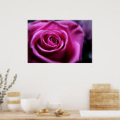 Rosa Rosa-Druck Poster (Küche)