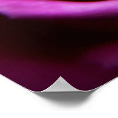 Rosa Rosa-Druck Poster (Ecke)
