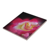 Rosa-Rosa Fliese (Seite)