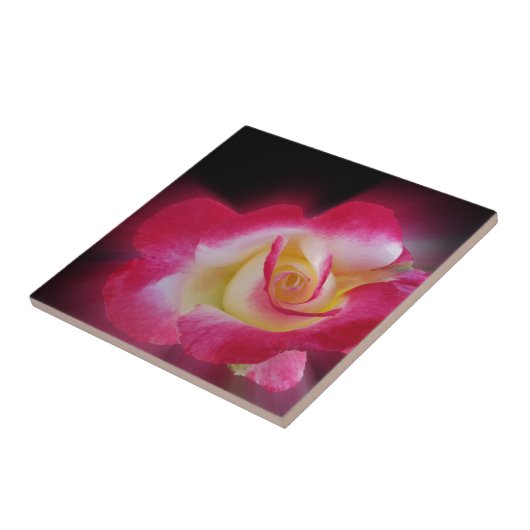 Rosa-Rosa Fliese (Seite)