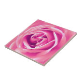 Rosa Rosa Fliese (Seite)