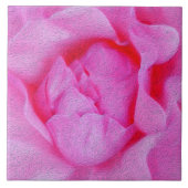 Rosa Rosa Fliese (Vorderseite)