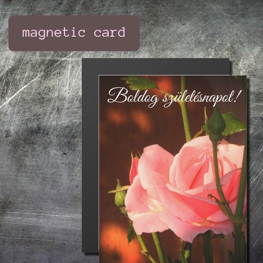 Rosa Rosa Foto - Ungarischer Geburtstag Magnetkarte