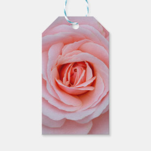 Rosa Rosa Geschenkanhänger