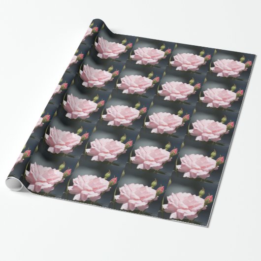 Rosa Rosa Geschenkpapier (Ungerollt)