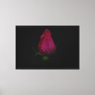 Rosa rosa gesteppte Leinwand