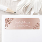 Rosa Rosa Glitzer Pinacoteca comunale Casa Serodin (Insitu)