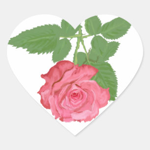 Rosa Rosa Herz-Aufkleber