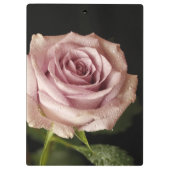 Rosa Rosa Klemmbrett (Rückseite)