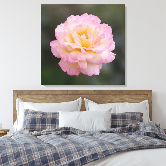Rosa Rosa Leinwanddruck (Insitu (Schlafzimmer))