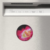Rosa-Rosa Magnet (In Situ (Geschirrspüler))