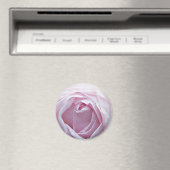 Rosa Rosa Magnet (In Situ (Geschirrspüler))