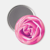 Rosa Rosa Magnet (Vorderseite/Rückseite)