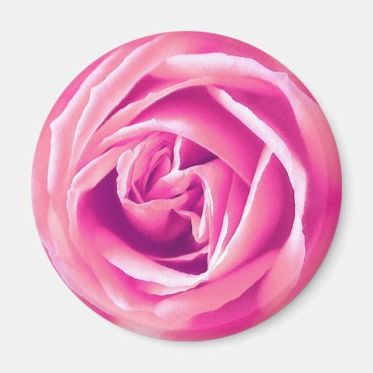 Rosa Rosa Magnet (Vorne)