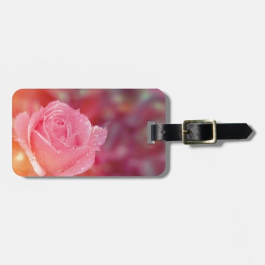 Rosa Rosa mit Morgendämmerung Gepäckanhänger (Vorderseite horizontal)