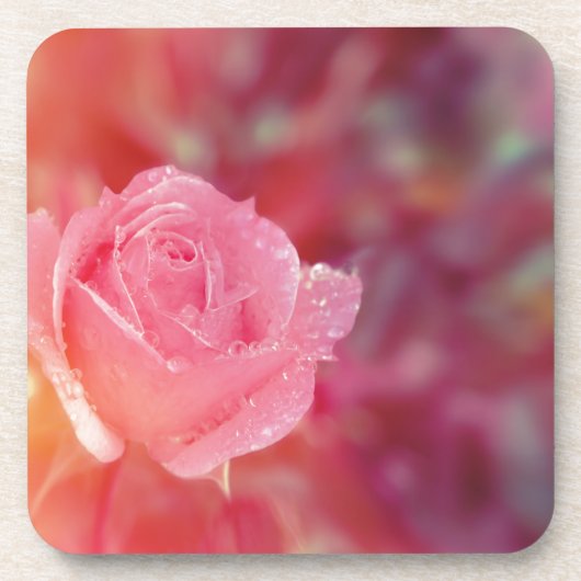 Rosa Rosa mit Morgendämmerung Getränkeuntersetzer (Vorderseite)