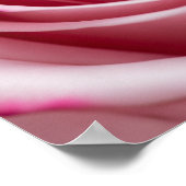 Rosa Rosa mit Wassertropfen Poster (Ecke)