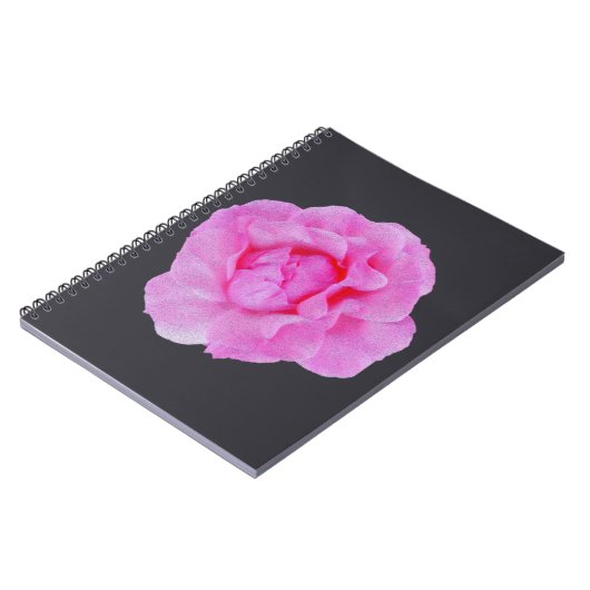 Rosa Rosa Notizblock (Linke Seite)