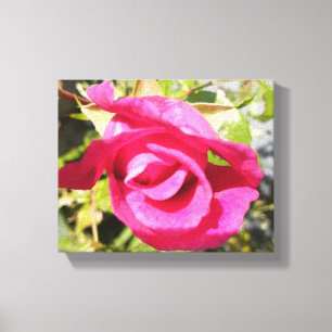 Rosa Rosa Nr. 2 Leinwanddruck