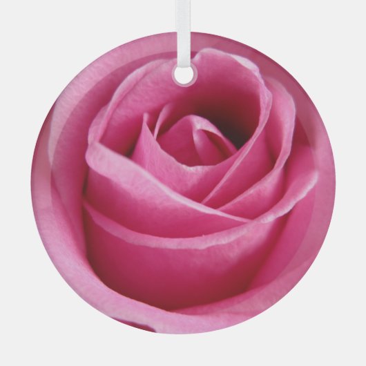 Rosa Rosa Ornament Aus Glas (Vorderseite)